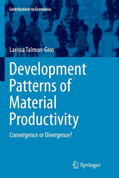 bokomslag Development Patterns of Material Productivity