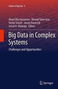 bokomslag Big Data in Complex Systems