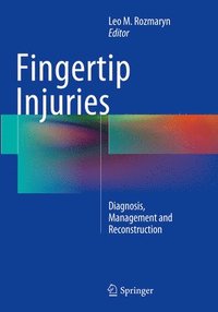 bokomslag Fingertip Injuries