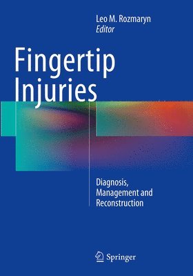 bokomslag Fingertip Injuries