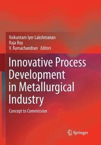 bokomslag Innovative Process Development in Metallurgical Industry