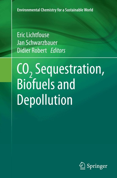 Eric Lichtfouse, Jan Schwarzbauer, Didier Robert - CO2 Sequestration, Biofuels and Depollution, Häftad