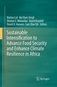 bokomslag Sustainable Intensification to Advance Food Security and Enhance Climate Resilience in Africa