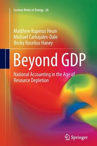 bokomslag Beyond GDP