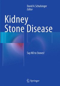 bokomslag Kidney Stone Disease