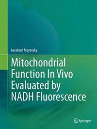 bokomslag Mitochondrial Function In Vivo Evaluated by NADH Fluorescence