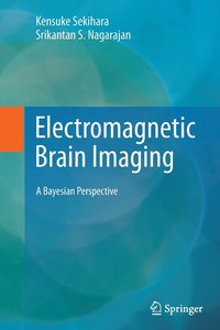 bokomslag Electromagnetic Brain Imaging
