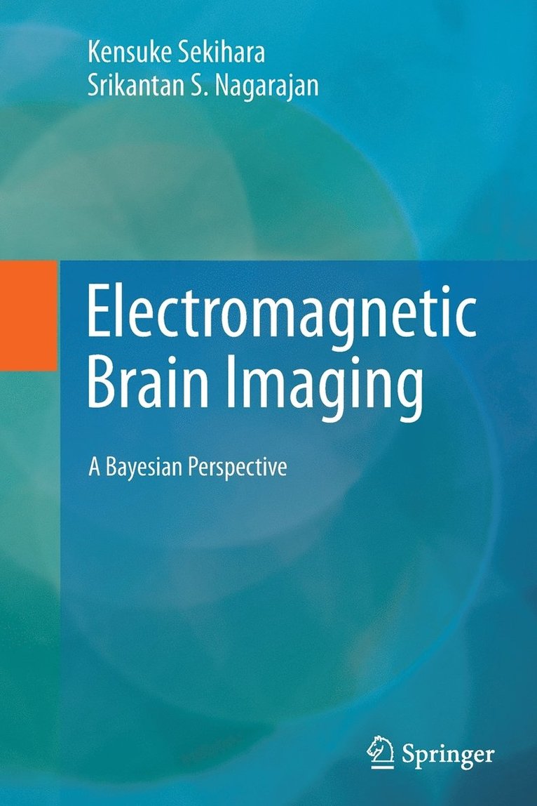 Electromagnetic Brain Imaging 1