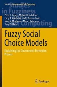 bokomslag Fuzzy Social Choice Models