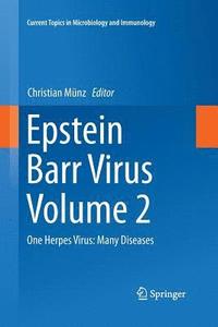 bokomslag Epstein Barr Virus Volume 2