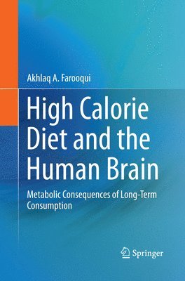 bokomslag High Calorie Diet and the Human Brain