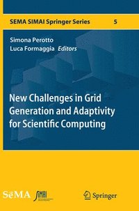bokomslag New Challenges in Grid Generation and Adaptivity for Scientific Computing
