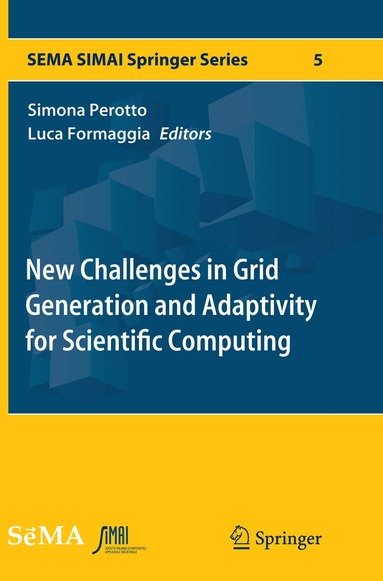 Simona Perotto, Luca Formaggia - New Challenges in Grid Generation and Adaptivity for Scientific Computing, Häftad