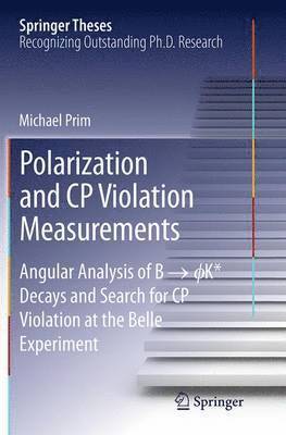 bokomslag Polarization and CP Violation Measurements