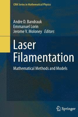 bokomslag Laser Filamentation