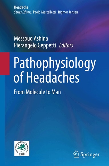 Messoud Ashina, Pierangelo Geppetti - Pathophysiology of Headaches, Häftad