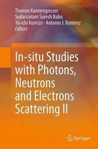 bokomslag In-situ Studies with Photons, Neutrons and Electrons Scattering II