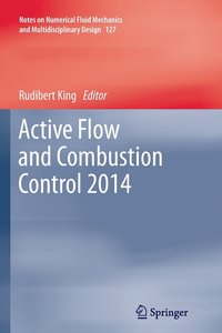 bokomslag Active Flow and Combustion Control 2014