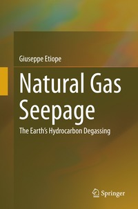 bokomslag Natural Gas Seepage