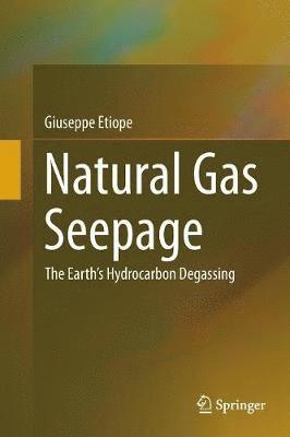 bokomslag Natural Gas Seepage