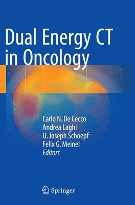 bokomslag Dual Energy CT in Oncology