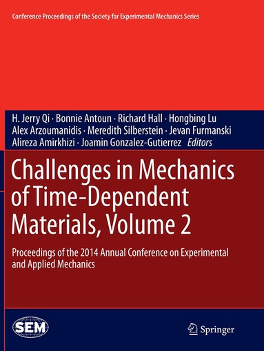H. Jerry Qi, Bonnie Antoun, Richard Hall, Hongbing Lu, Alex Arzoumanidis, Meredith Silberstein, Jevan Furmanski, Alireza Amirkhizi, Joamin Gonzalez-Gutierrez - Challenges in Mechanics of Time-Dependent Materials, Volume 2, Häftad