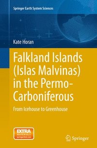 bokomslag Falkland Islands (Islas Malvinas) in the Permo-Carboniferous