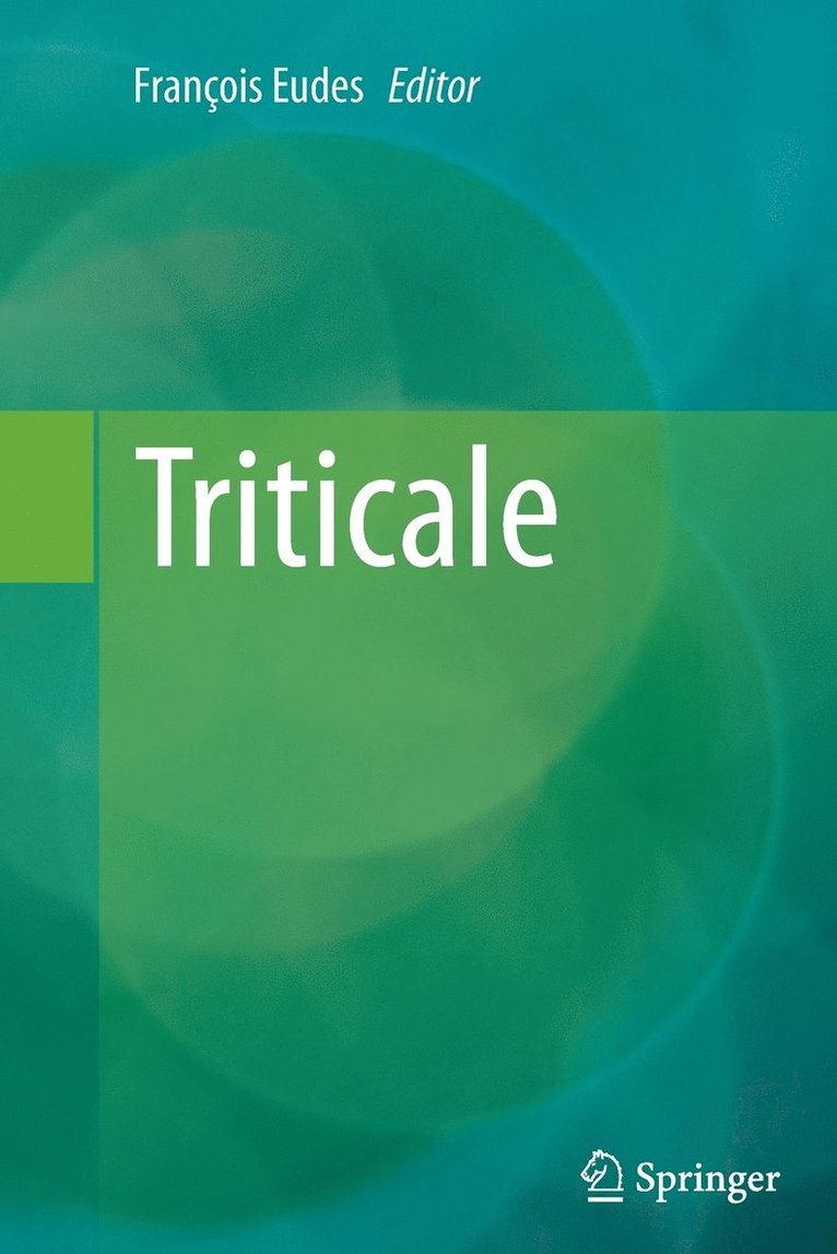 Triticale 1