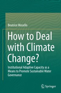 bokomslag How to Deal with Climate Change?