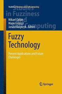 bokomslag Fuzzy Technology