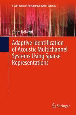 bokomslag Adaptive Identification of Acoustic Multichannel Systems Using Sparse Representations