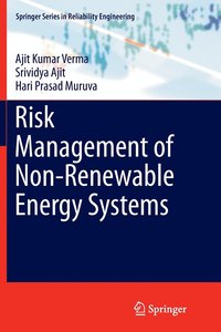 bokomslag Risk Management of Non-Renewable Energy Systems