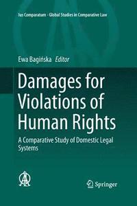 bokomslag Damages for Violations of Human Rights