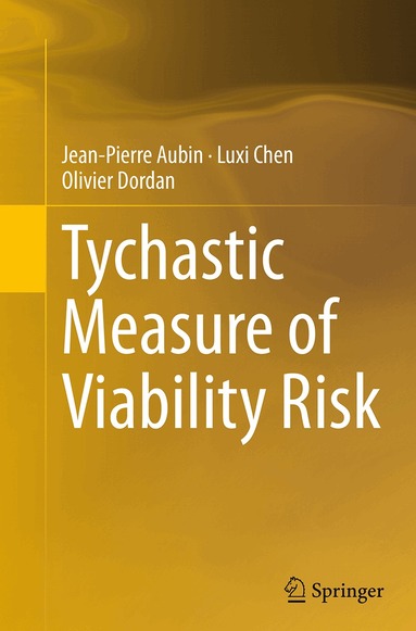 Jean-Pierre Aubin, Luxi Chen, Olivier Dordan - Tychastic Measure of Viability Risk, Häftad