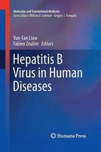 bokomslag Hepatitis B Virus in Human Diseases