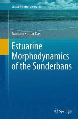 bokomslag Estuarine Morphodynamics of the Sunderbans