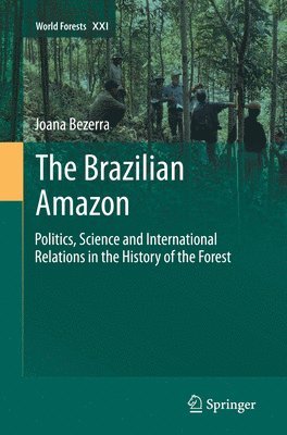The Brazilian Amazon 1