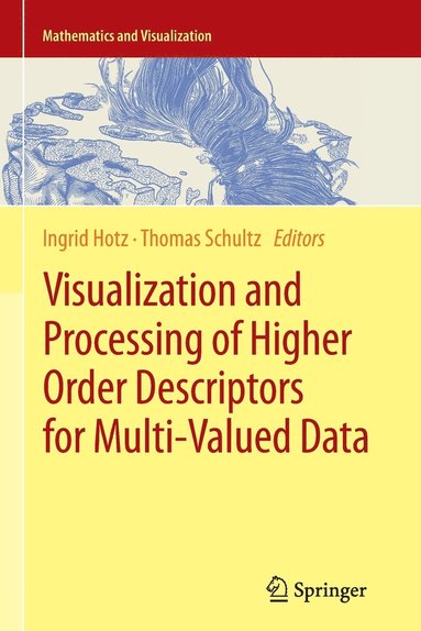 bokomslag Visualization and Processing of Higher Order Descriptors for Multi-Valued Data