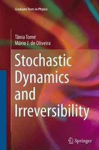 bokomslag Stochastic Dynamics and Irreversibility