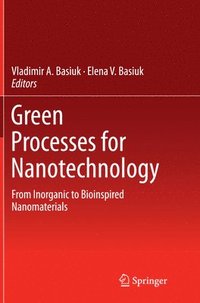 bokomslag Green Processes for Nanotechnology