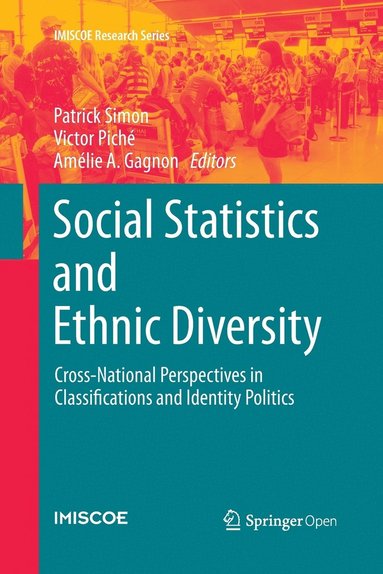 bokomslag Social Statistics and Ethnic Diversity