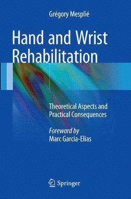 bokomslag Hand and Wrist Rehabilitation