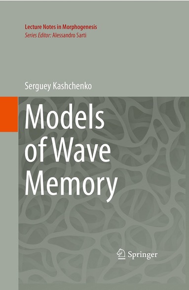 bokomslag Models of Wave Memory