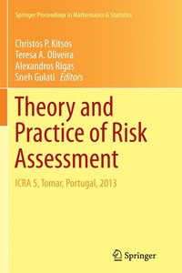 bokomslag Theory and Practice of Risk Assessment
