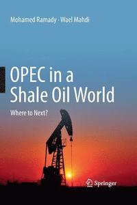bokomslag OPEC in a Shale Oil World