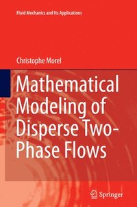 bokomslag Mathematical Modeling of Disperse Two-Phase Flows