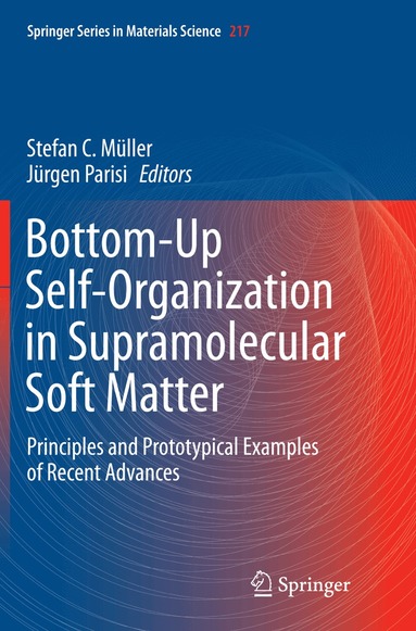 Stefan C. Müller, Jürgen Parisi - Bottom-Up Self-Organization in Supramolecular Soft Matter, Häftad
