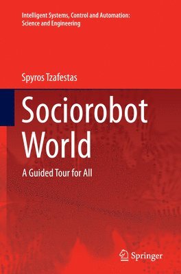 Sociorobot World 1