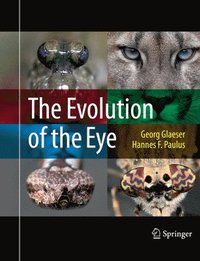 bokomslag The Evolution of the Eye