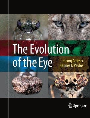 The Evolution of the Eye 1